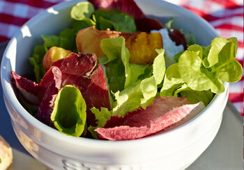 SUMMER SALAD