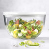 Fresh & Save BOWLS, Bol sous vide L / 24 cm, Verre, Transparent, small 2