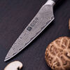 Tanrei, Spick & Garniermesser 10 cm, small 5