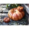 Stoneware, 0.5 qt, Pumpkin, Petite Dutch Oven, Burnt Orange, small 9