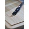 TWIN Pollux, 10 cm Paring knife, small 5