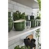 Ceramique, 12 cm round ceramic Bowl basil-green, small 5
