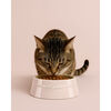 Ceramique, Gamelle pour animaux de compag 800 ml, C&eacute;ramique, Rose clair, small 6