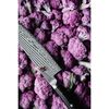 KAIZEN II 5000FCD, 8-inch, Chef's Knife, small 9