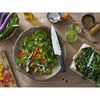 FOUR STAR, 8 Piece, KNIFE SET WITH BONUS POULTRY SHEARS, brown, small 4