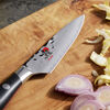 HISHO 400FCT, 3.5-inch, Paring Knife, small 6