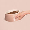 Ceramique, ペットボウル 400 ml, セラミック, light pink, small 4