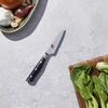Evolution, 3.5-inch, Paring Knife, small 2