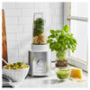 Enfinigy, Personal blender - silver, small 7