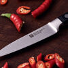 Professional S, 4-inch, Paring Knife - Factory Second, small 6