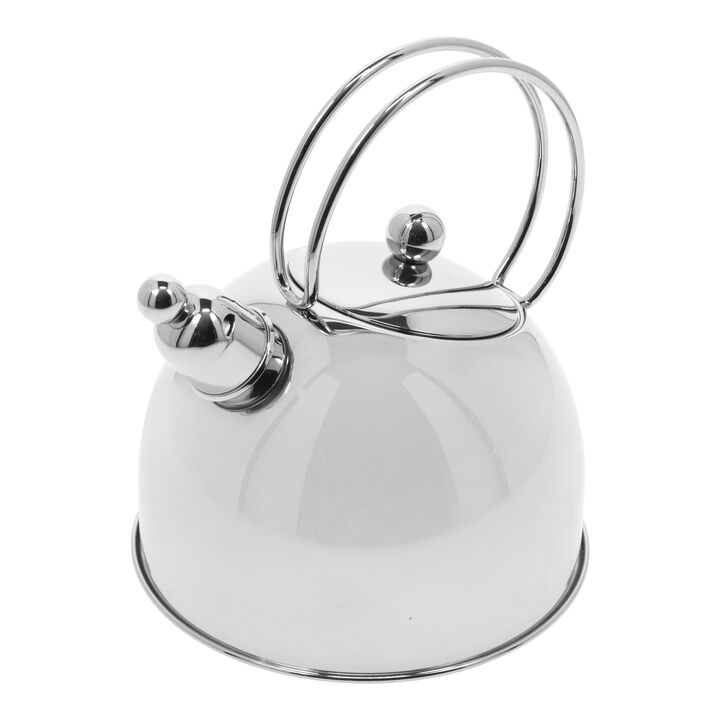 Specialties 3, 20 cm 18/10 Stainless Steel Kettle silver, large 2