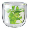 Sorrento Double Wall Glassware, 2-pc Tea Glass Set, Double Wall , small 1
