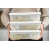 Fresh & Save, Vakuum Lunchbox Set, 3-tlg. / L flach, Semitransparent-Grau, Kunststoff, small 2