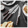 Artisan, 4-pc, Steak Set, small 2