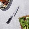 Evolution, 5.5-inch Utility Knife , Fine Edge , small 2