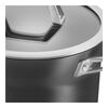 Motion, 3.8 l aluminum Stew pot, small 6