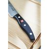 TWIN Pollux, 20 cm Carving knife, small 7