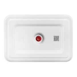 Plat sous vide, Verre, Rouge