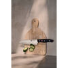 TWIN Signature, 7-inch, Hollow Edge Santoku - Factory Second, small 4