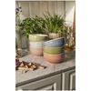 Ceramique, 14 cm / 6 Piece ceramic Macaron large bowl set, mixed Colours, small 9