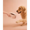Ceramique, Gamelle pour animaux de compag 800 ml, C&eacute;ramique, Rose clair, small 5