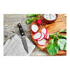 KRAMER Euro Stainless, 3.5-inch, Paring knife - Visual Imperfections, small 4