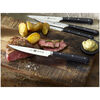 Steak Sets, 4-pc, Porterhouse Steak Knife Set In Beechwood Box , small 6