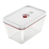 Fresh & Save, Vakuumbox L, Glas, Rot, small 1