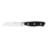 Accent, 9 cm Vegetable knife, small 1