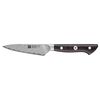 Tanrei, Spick & Garniermesser 10 cm, small 1