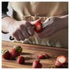 Pro, 2.75 inch, Peeling knife, small 2