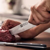 Pro, 8-inch, Carving knife, small 5