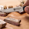Gourmet, 12 cm, Steak knife - Visual Imperfections, small 6