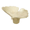 Ginkgo Knob, small 1