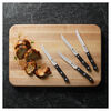 Gourmet, 4-pc, Steak Knife Set , small 3