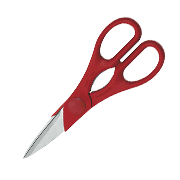 ZWILLING TWIN